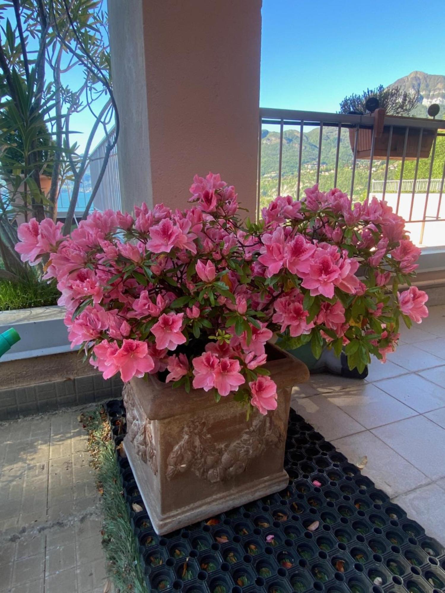 شقة Casa Bella Vista سان سيرو المظهر الخارجي الصورة